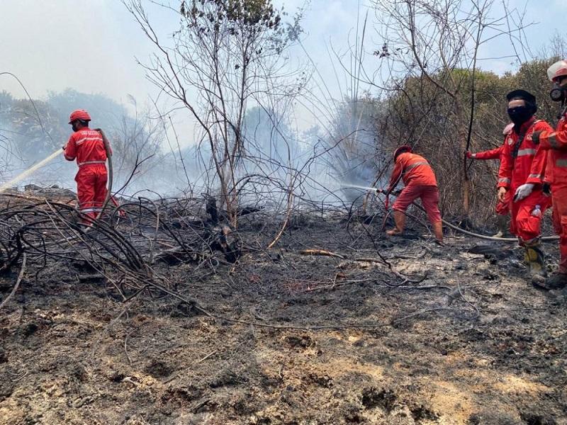 Api Masih Menyala di Kuala Kampar Pelalawan, Tim Manggala Agni Berjibaku Padamkan Karhutla