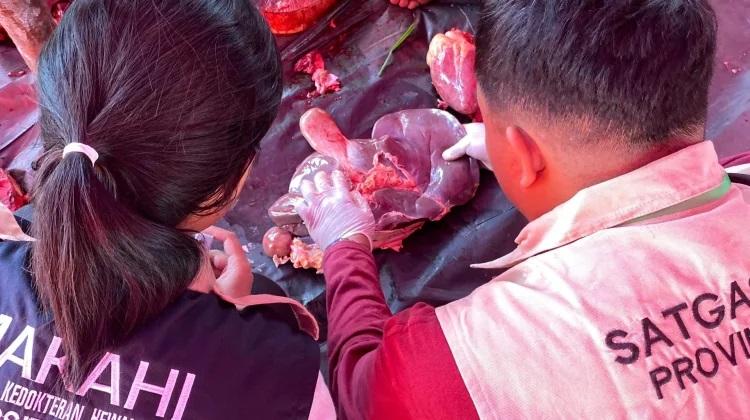 Dinas PKH Riau Turunkan 122 Petugas dan Mahasiswa Awasi Pemotongan Hewan Kurban di Pekanbaru