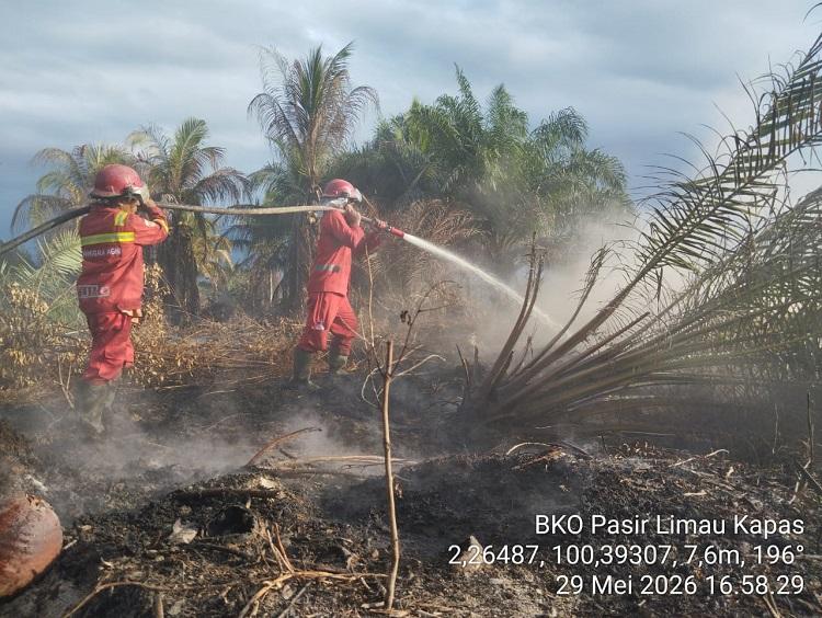 Karhutla di Tiga Wilayah Riau Masih Berlangsung, Manggala Agni Hadapi Tiga Tantangan Sekaligus