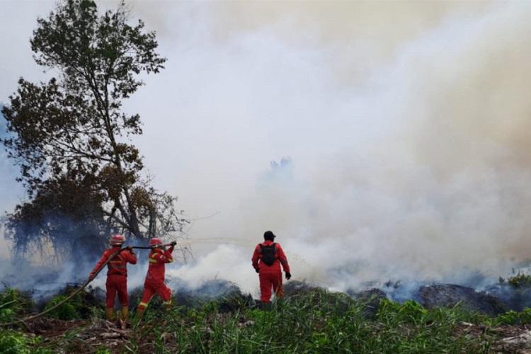 Karhutla Meluas, Pemprov Riau dan 11 Daerah Resmi Tetapkan Status Siaga Darurat