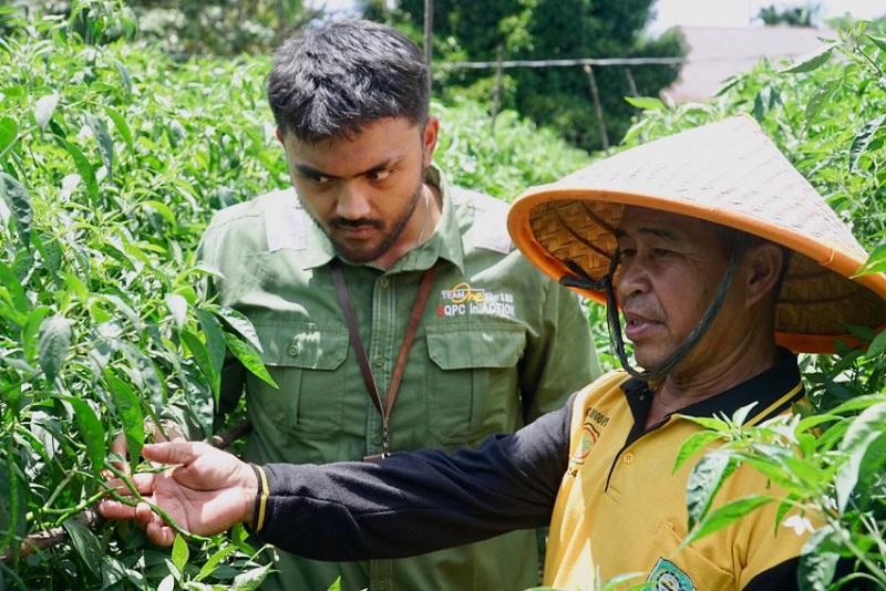 Melalui Budidaya Cabai, Kelompok Tani Asa Baru Perkuat Kemandirian Ekonomi Masyarakat