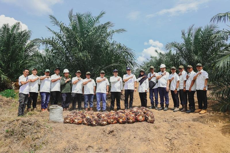 Tembus Usia 2,5 Tahun, Sawit Muda PTPN IV Regional III Catat Produksi di Atas Standar Nasional