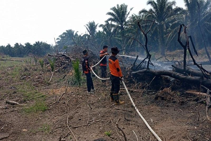 Forkopimda Riau Keluarkan Maklumat Karhutla, Ini 6 Poin yang Wajib Diketahui Masyarakat
