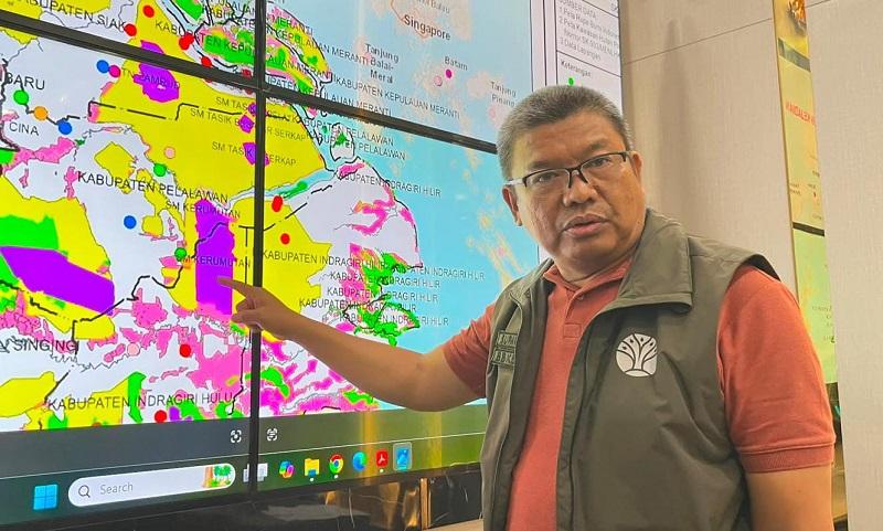 Karhutla di Suaka Margasatwa Kerumutan Ancam Habitat Harimau Sumatera, 5 Hektare Gambut Terbakar