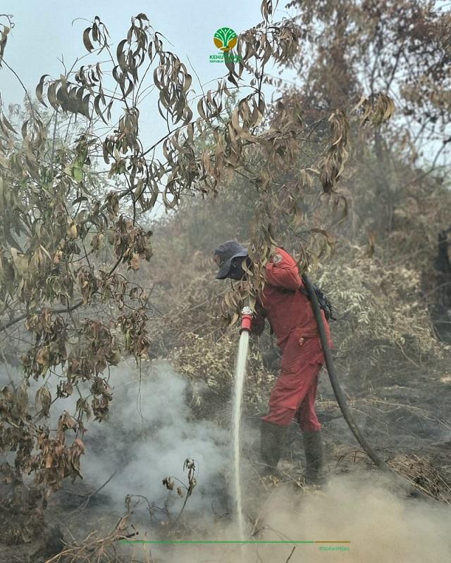 Hotspot Riau Turun Drastis, BMKG Catat Hanya 10 Titik Panas