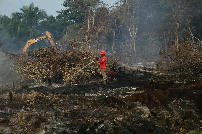 Karhutla Riau Capai 18.582 Hektare, Api Kini Tersisa di Tiga Daerah