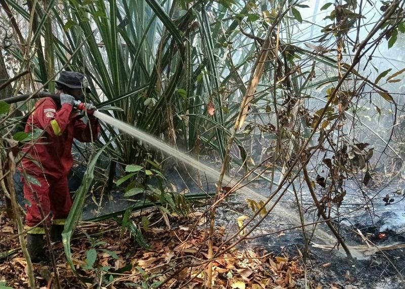 Karhutla Belum Padam, Manggala Agni Masih Berjuang di 6 Lokasi