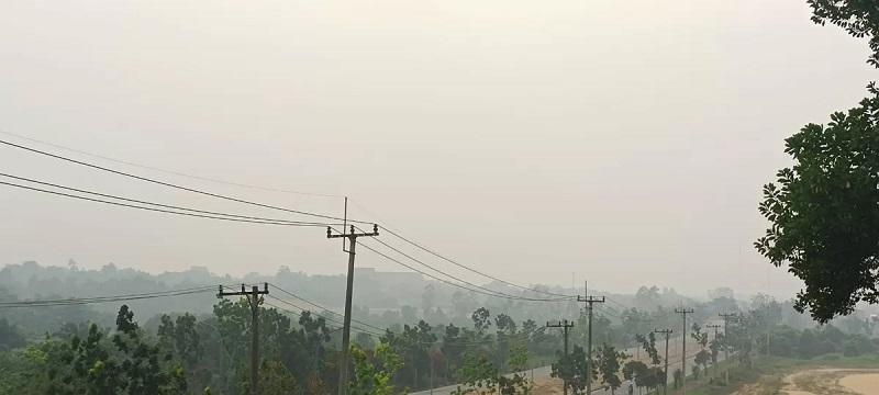 Kabut Asap Makin Parah, Seluruh Siswa TK-SMP di Pelalawan Dipulangkan
