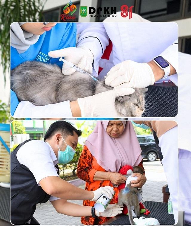 204 Hewan Divaksin Gratis, Riau Gencarkan Pencegahan Rabies