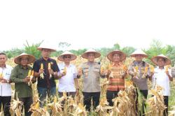 Polres Rohil Panen Raya Jagung, Program Ketahan Pangan Nasional