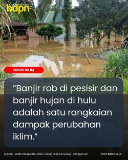 Peremajaan Kelapa dan Perlindungan Tanggul Menentukan Masa Depan Ekonomi Rakyat Inhil