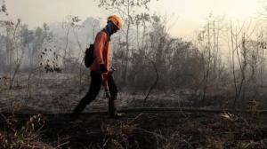 Karhutla di Dua Titik Lahan Gambut Riau Berhasil Dipadamkan, Patroli Ketat Terus Dilakukan