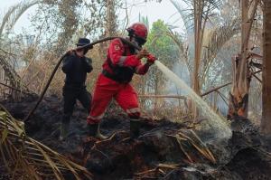 Dua Lokasi Karhutla di Kuala Kampar Clear, Tim Gabungan Padamkan 5 Hektare Lahan