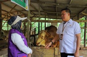 Distankan Pekanbaru Pastikan Nihil Kasus PMK pada Hewan Kurban Tahun 2026