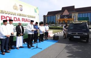 Polda Riau Salurkan 195 Hewan Kurban, Distribusi Tembus Wilayah Pelosok Desa