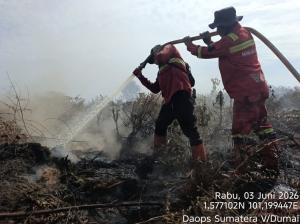 Karhutla di Rantau Bais Capai 70 Hektare, Tim Manggala Agni Perkuat Penyekatan Api