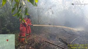 Karhutla Pulau Rupat Masih Aktif, Tiga Tim Tambahan Manggala Agni Diterjunkan