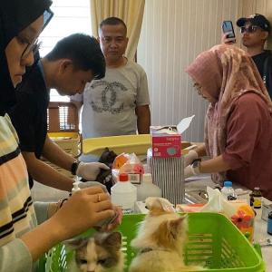 Ratusan Hewan Peliharaan Ikuti Pengobatan Gratis dalam Rangka HUT ke-242 Pekanbaru