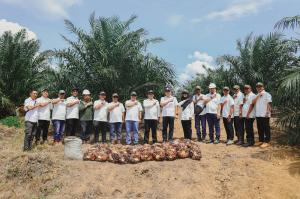 Tembus Usia 2,5 Tahun, Sawit Muda PTPN IV Regional III Catat Produksi di Atas Standar Nasional