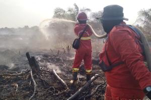 Satelit Catat 15.477 Hektare Karhutla di Riau, Gambut Mendominasi Area Terbakar