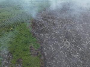 80 Hektare Lahan di Bengkalis Dilalap Api, 117 Personel Gabungan dan 3 Helikopter Diterjunkan