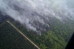 602 Hotspot Terdeteksi di Sumatra, Riau Catat 75 Titik Panas Karhutla dalam Sehari