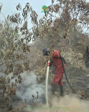 Hotspot Riau Turun Drastis, BMKG Catat Hanya 10 Titik Panas