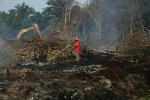 Karhutla Riau Capai 18.582 Hektare, Api Kini Tersisa di Tiga Daerah