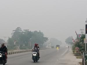 Kabut Asap Selimuti Kuansing, Siswa Jalani PJJ hingga 11 September