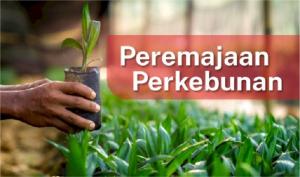 PSR Riau Capai 55.140 Hektare, Dana Tersalur Tembus Rp1,9 Triliun untuk 20 Ribu Lebih Pekebun