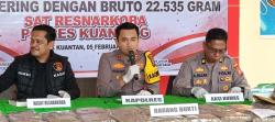 Polres Kuansing Amankan Puluhan Kilogram Ganja yang Akan Diedarkan di Riau